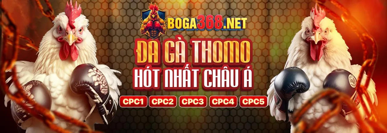Màn hình hiển thị cá cược thể thao trực tiếp với các tỷ lệ cược thay đổi
